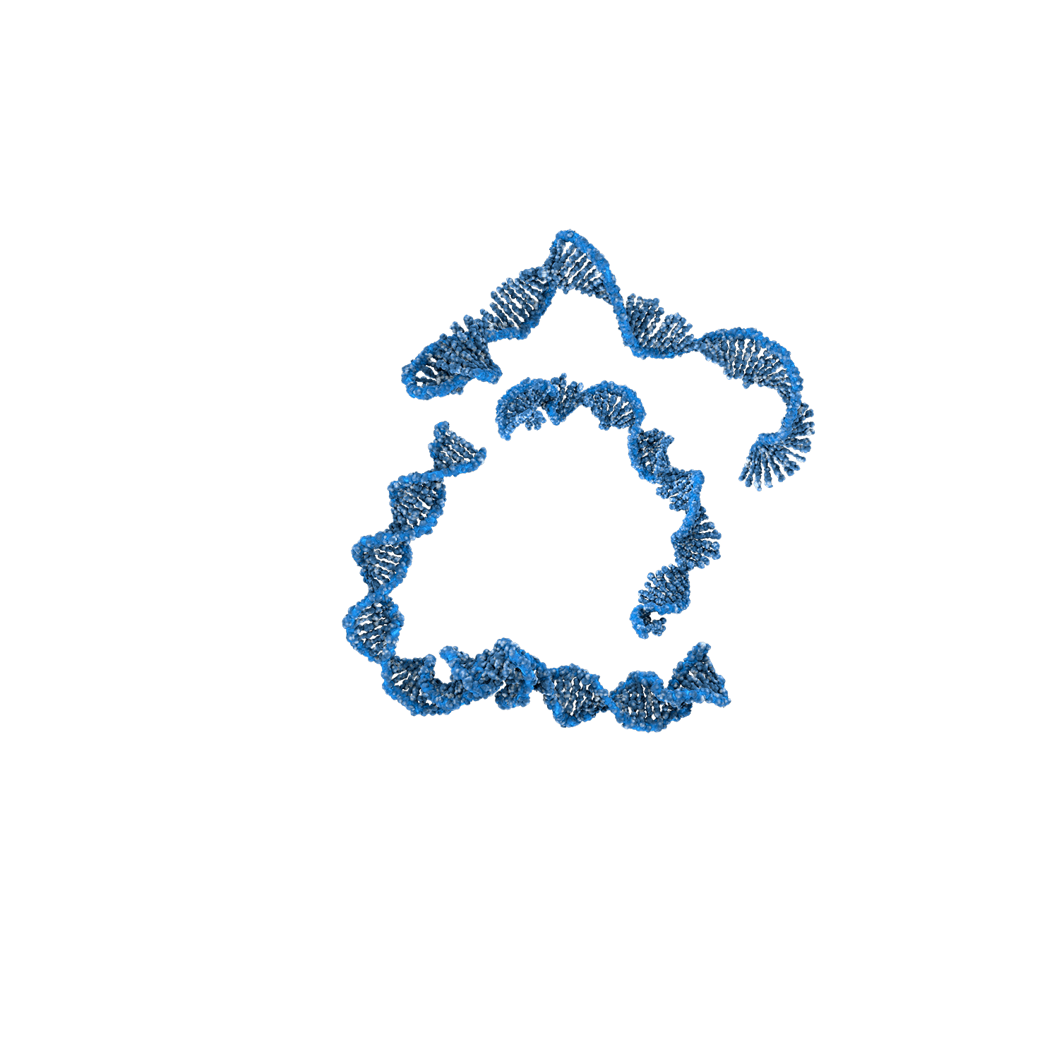 oligonucleotides (siRNA, miRNA)